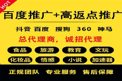行业领先企业的百度广告推广经验分享